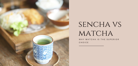 Sencha VS Matcha - Why Matcha is the Superior Choice
