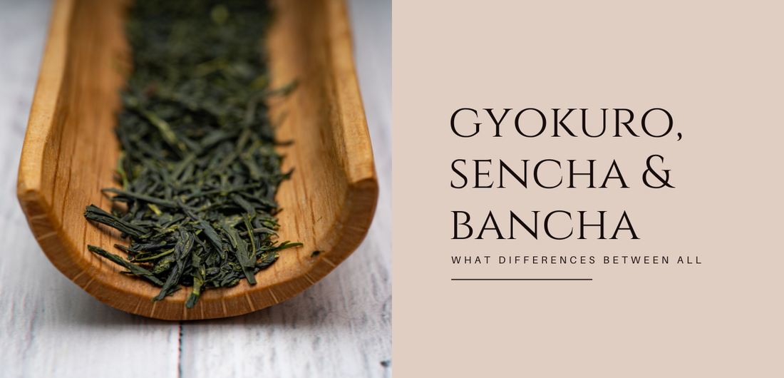 Gyokuro, Sencha & Bancha