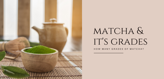 Unraveling the Different Grades of Matcha Powder